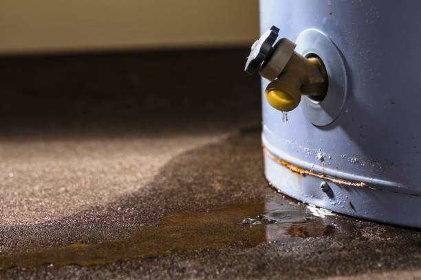 Best Professional water damage repair  in Big Pine Key, FL