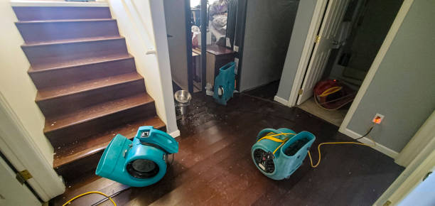 Best Basement water damage restoration  in Big Pine Key, FL