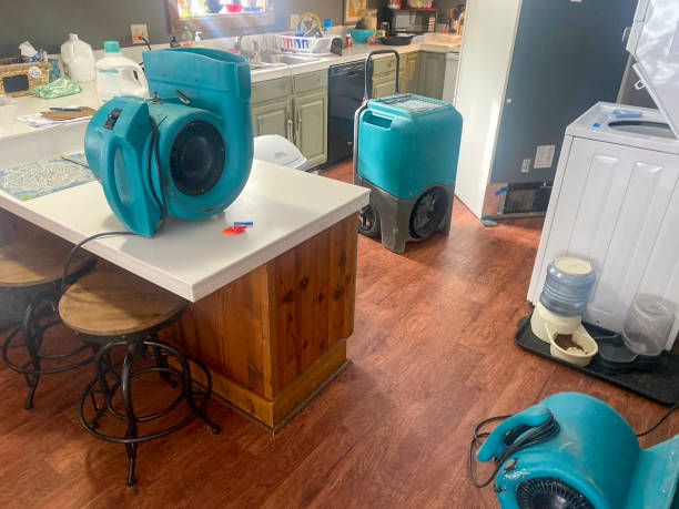 Water damage restoration mold remediation in Big Pine Key, FL