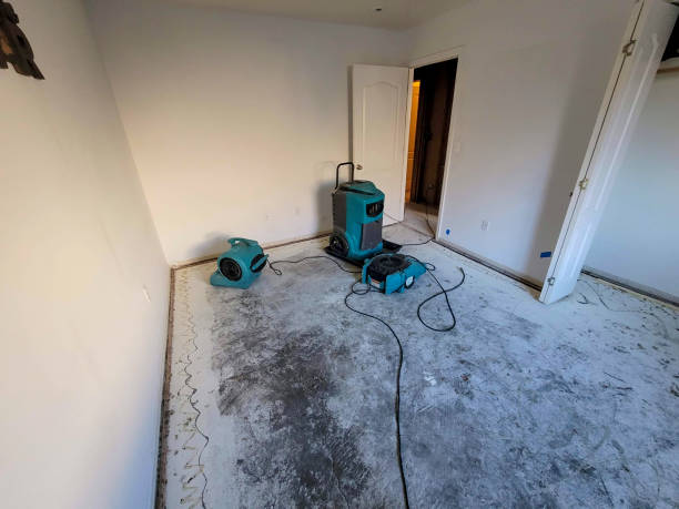 Best Fire Damage Restoration  in Big Pine Key, FL