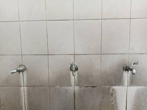 Best Residential water damage restoration  in Big Pine Key, FL