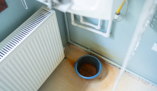 Best Flood damage cleanup  in Big Pine Key, FL
