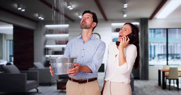 Water damage restoration experts in Big Pine Key, FL