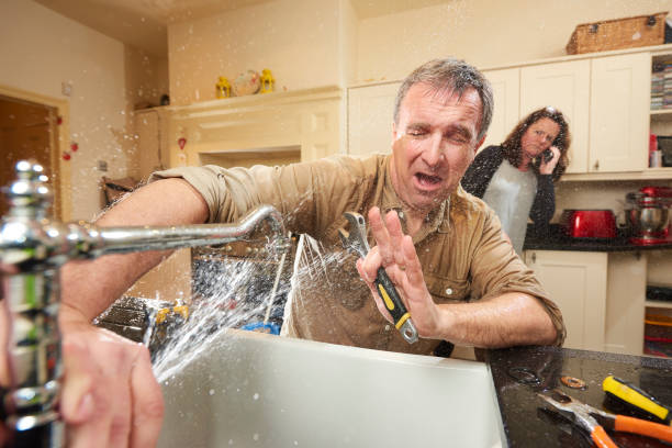 Best 24-hour water damage restoration  in Big Pine Key, FL
